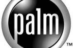 ‘Palm zet zich te koop’
