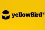 YouTube sluit deal met het Groningse Yellowbird