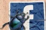 Facebook scant in realtime alle links op malware