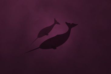 Review: Ubuntu 11.04 Natty Narwhal