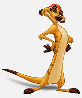 Ubuntu 10.10 gaat Maverick Meerkat heten