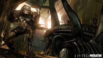 Nederlandse gameverkopen: Aliens vs. Predator