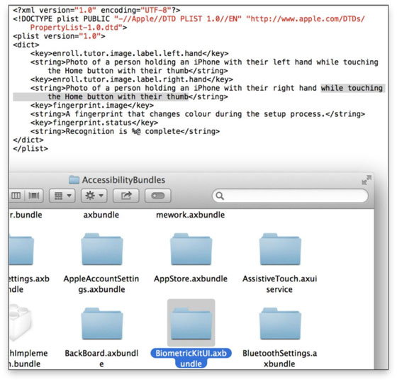 Nieuwste iOS 7 beta bevat code vingerafdrukscanner