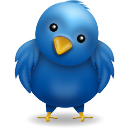 Twitter: Promoted Tweets nu in timeline
