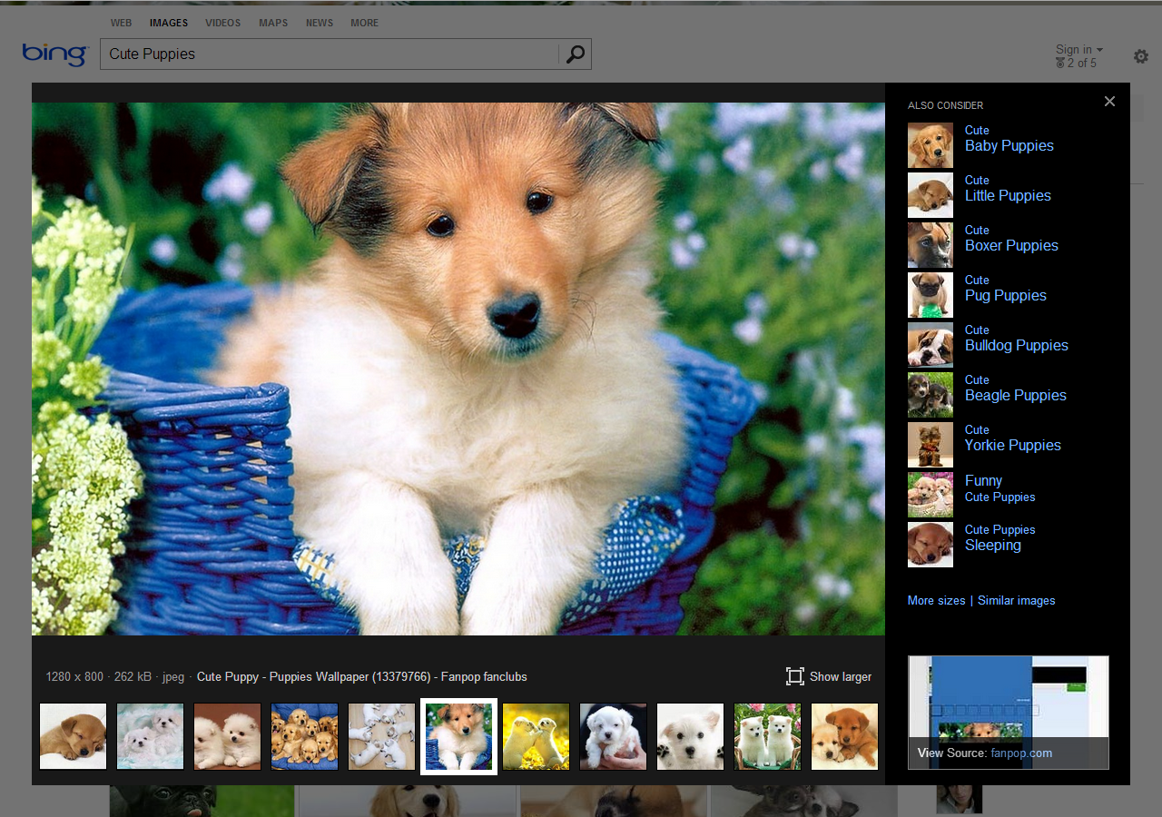 Bing Image-search krijgt nieuw ontwerp