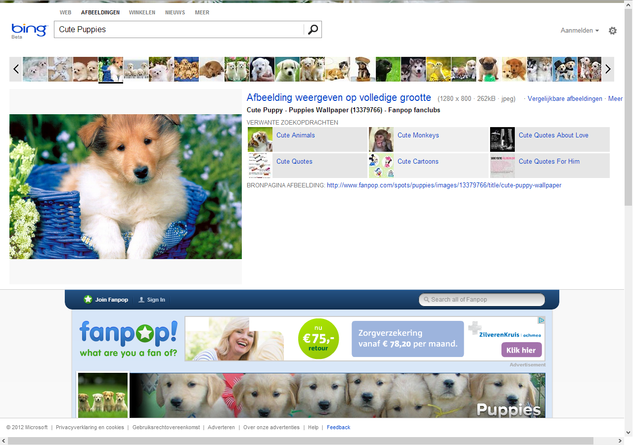 Bing Image-search krijgt nieuw ontwerp