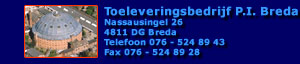 Internetbedrijf richt koepelgevangenis Breda in