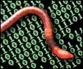 MyDoom.Y bevat uitleg over eigen werking