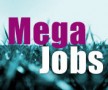 MegaJobs nu ook naar België