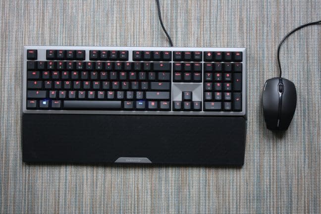 Cherry MX Board 6.0 + Gentix Mouse