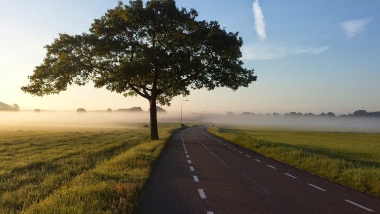 Een boom die twittert over vooruitgang in de landbouw