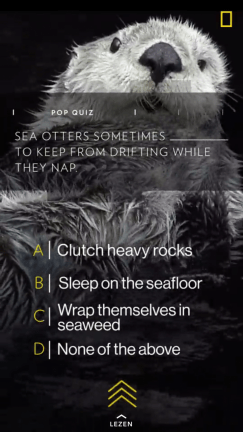 National Geographic otters - screenshot.