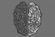 OpenAI-COO: “AI kan bedrijven niet direct betekenisvol veranderen”