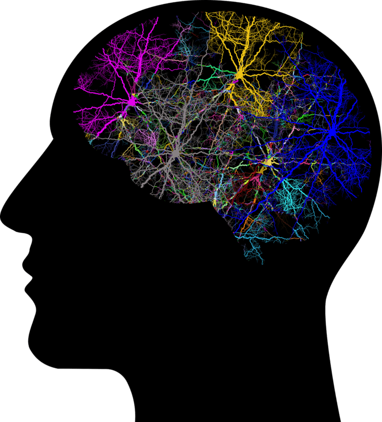 deep-instinct-neuronen