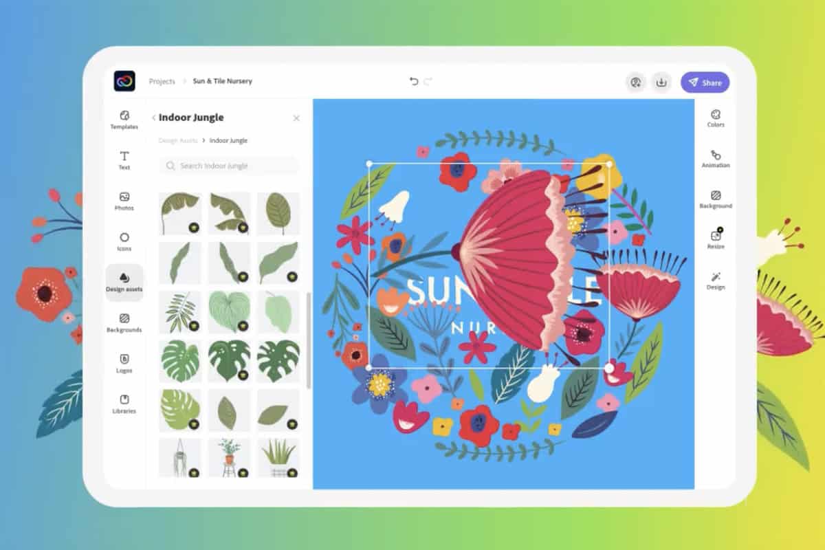 creative-cloud-express-2 creative-cloud-express-2
