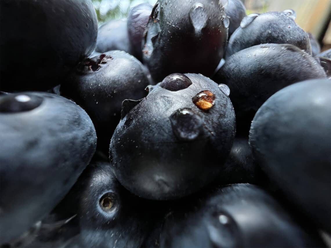 Apple_iPhone-13-Pro_Blueberries_09142021