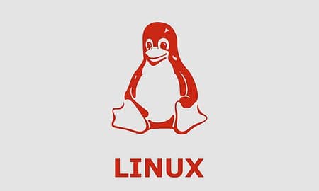 Linus Torvalds lanceert achtste release candidate van Linux 6.1