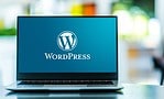 WordPress gaat op jacht naar kwetsbaarheden in eigen core