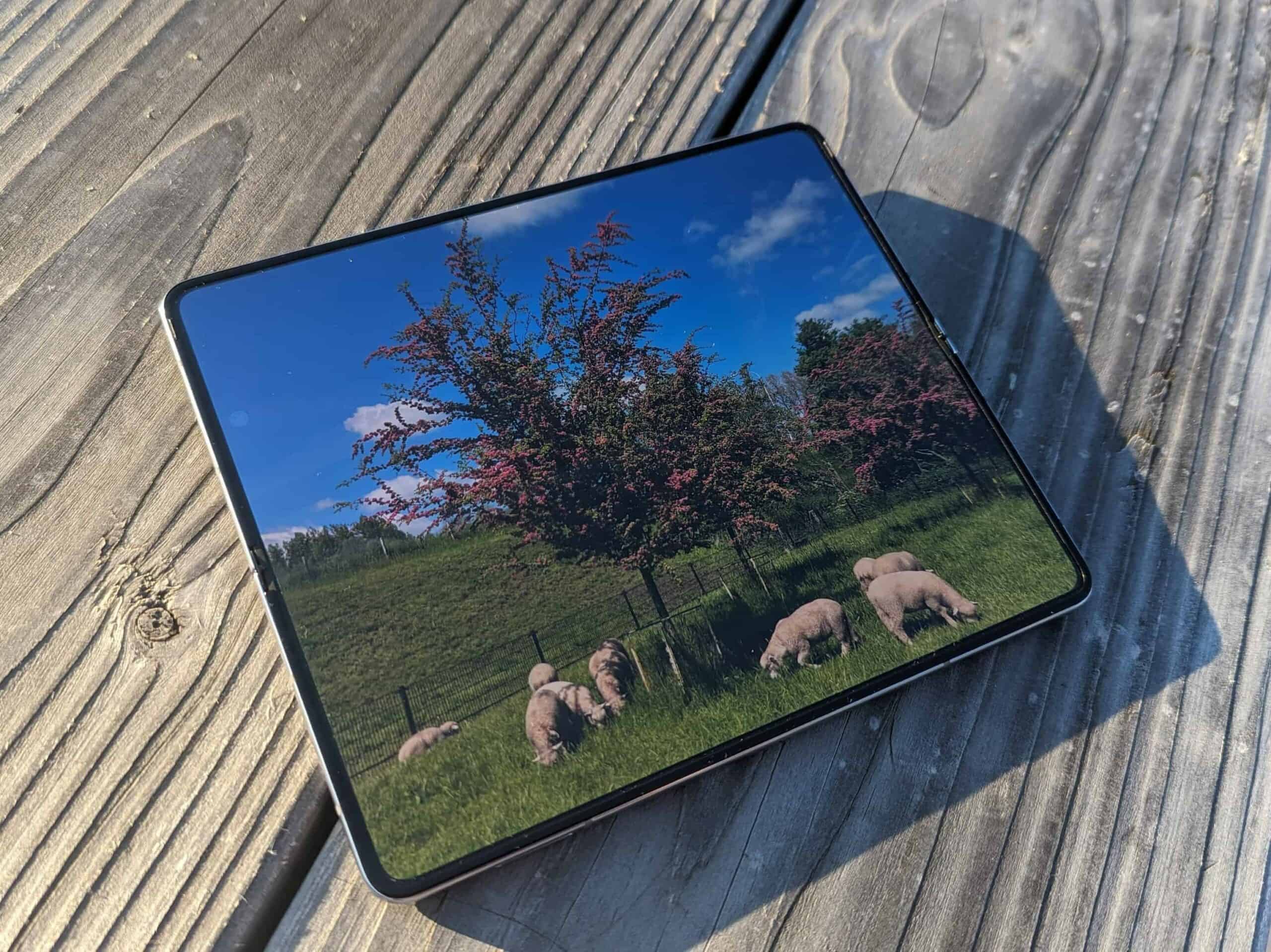 Een telefoon met een afbeelding van schapen erop, zittend op een houten tafel.