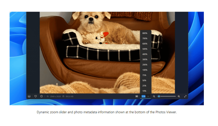 Foto-app in Windows 11-preview op de schop genomen - Techzine.nl
