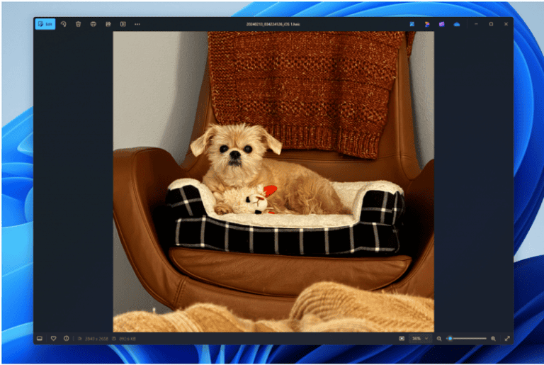 Foto-app in Windows 11-preview op de schop genomen