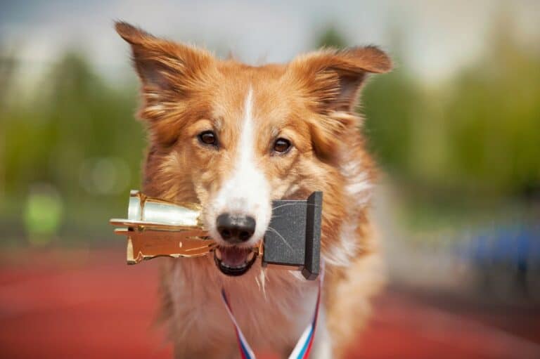 Datadog wil met hoge cloud efficiency de show stelen