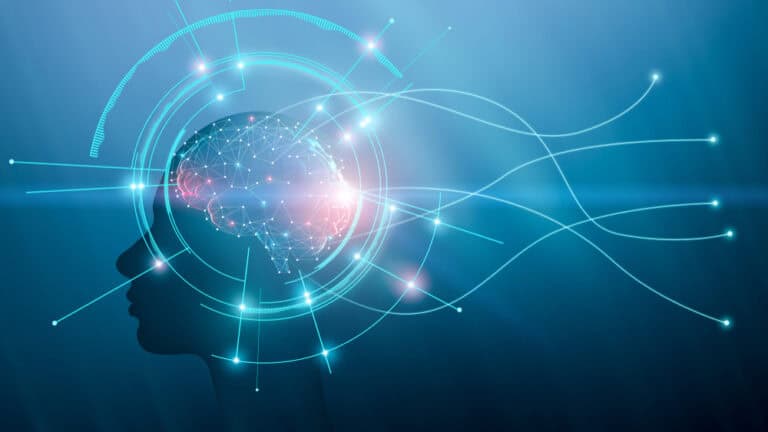 Snowflake-CEO: software loopt risico om ‘domme data pipe’ voor AI te worden