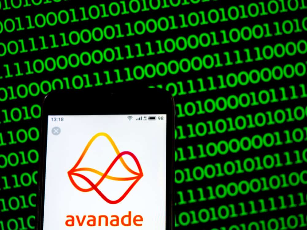 Avanade moet als Microsoft-expert de toekomst voor zijn - Techzine.nl