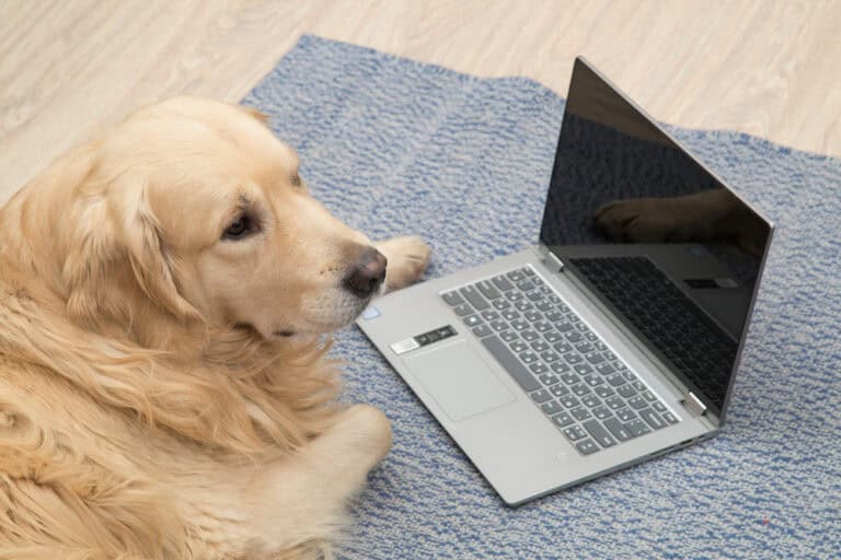 RAG ‘2.0’: de Instructed Retriever koppelt AI-agents aan de juiste data