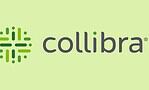 Collibra lanceert AI Command Center voor controle over AI-agents