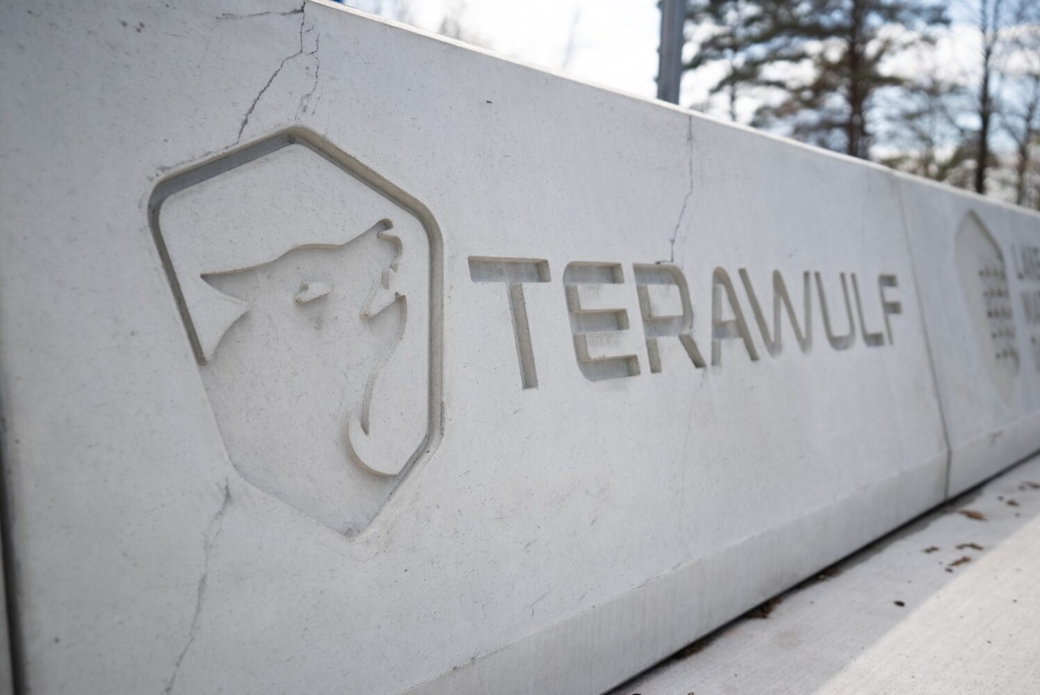 Een betonnen muur met het gegraveerde logo en de naam "TERAWULF", met een abstract symbool van een wolvenkop, buiten met bomen op de achtergrond.