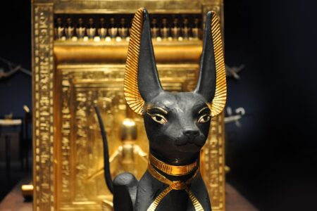 Anubis-ransomware misbruikt CitrixBleed 2 en RMM-tools